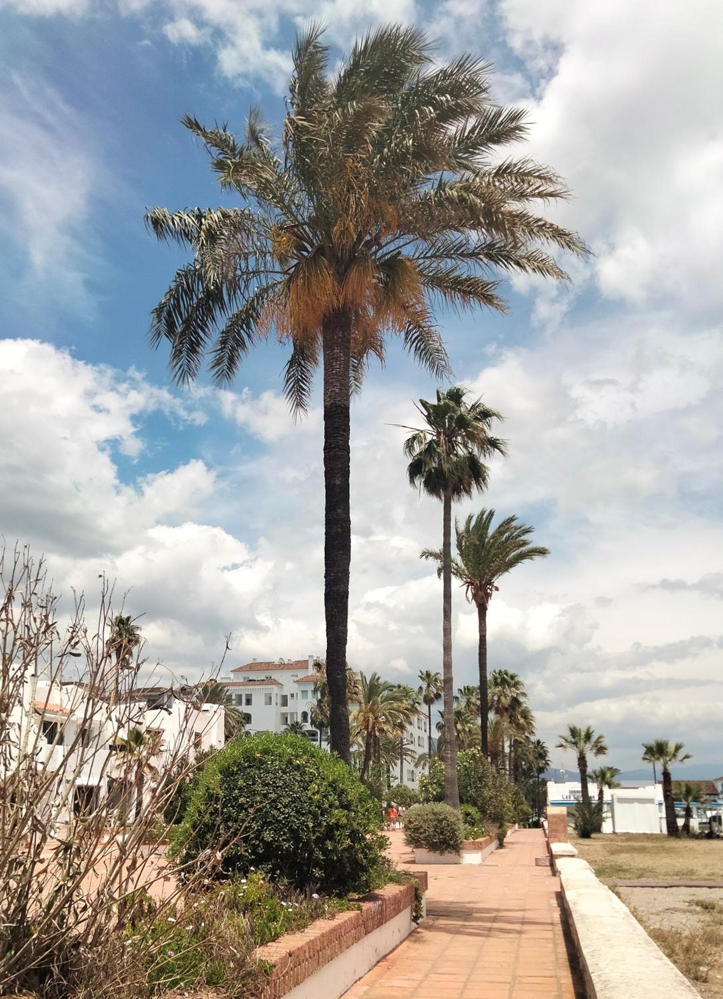 Apartamento Primera Linea De Playa マニルバ エクステリア 写真