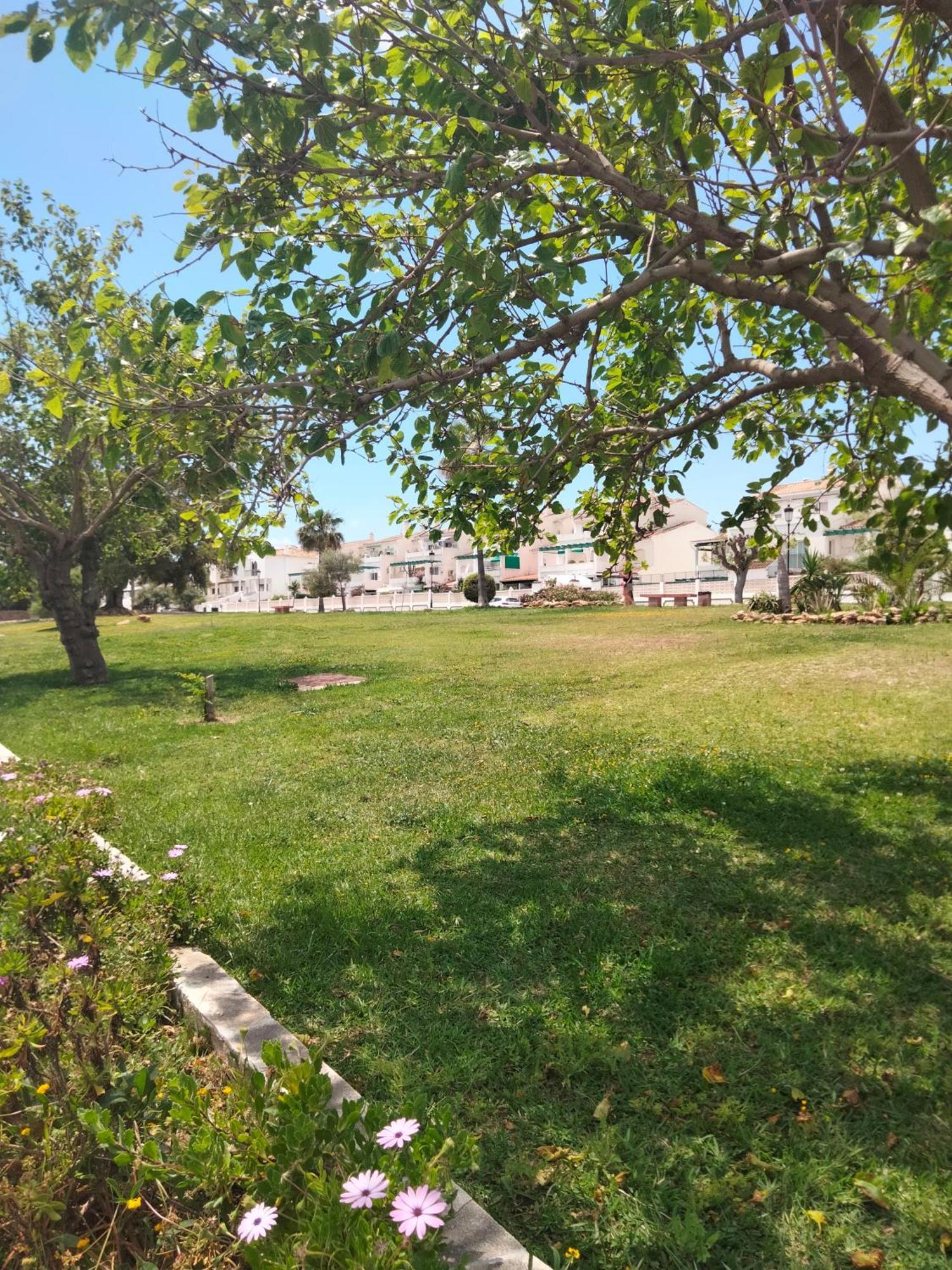 Apartamento Primera Linea De Playa マニルバ エクステリア 写真